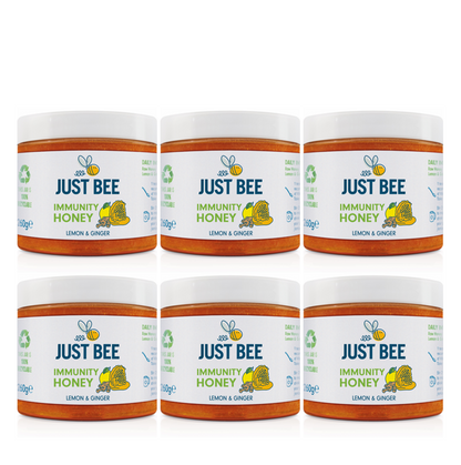 Lemon & Ginger Immunity Honey Bulk Pack (6 x 260g)